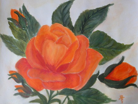 Orange Rose 35cm x 27cm auf Papier